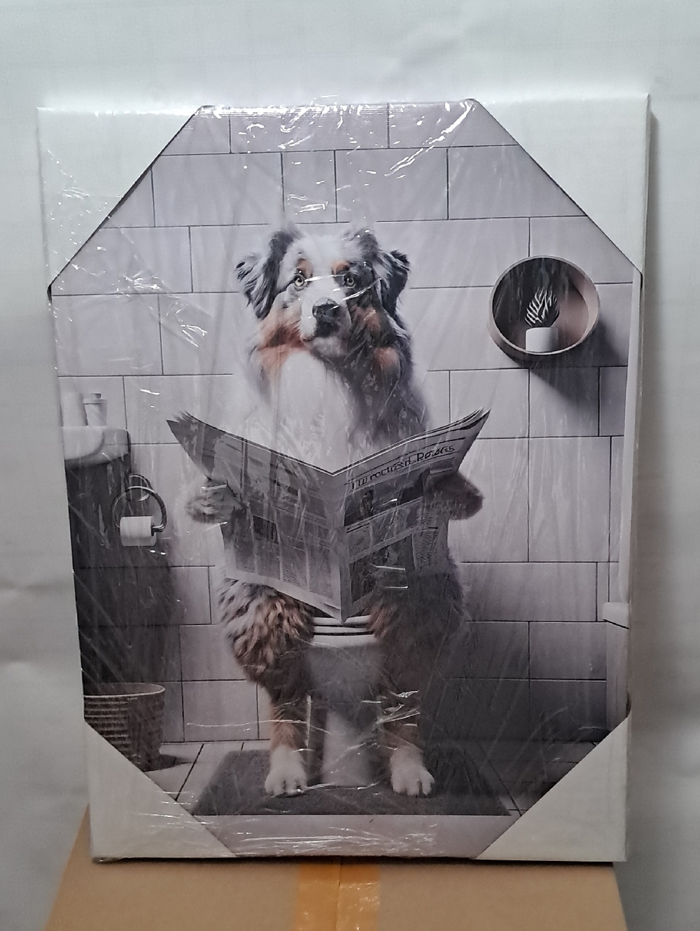 Dog Reading Newspaper Bathroom Wall Art - Grey & White